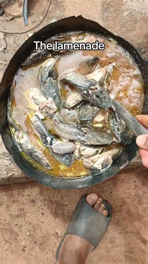 The lamon vs the lemonade #fishing #fish