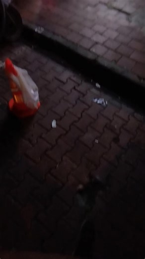 Keşfet'in Eğlenceli Yolculuğu: RX4 ile Tanışın