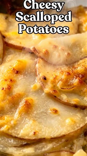 Cheesy Scalloped Potatoes | Creamy Comfort Food Recipe