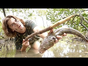 Surviving 24 Hours in the MANGROVES Challenge - Primitive Spearfishing AUSTRALIA