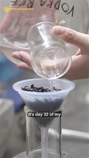 Distilling Vodka in India (Day 32/365 Fermentation Challenge) I'm in Himachal Pradesh, India working at the Ashmira Distillery. I'm doing some small-scale distillation experiments for my client and preparing to distil my vodka ferment made with rice, malted wheat and barley. I will double distill it, pass it through activated charcoal, and add water to it to get it down to 40% abv.