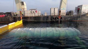 Für "Project Natick" haben wir ein Rechenzentrum ins Meer gelassen. Zusätzlich haben wir noch zwei Kameras installiert, um die Umgebungsbedingungen in der Nähe zu beobachten. Schau dir unseren Livestream an und beobachte die Fische, die sich dort ein Zuhause gemacht haben. https://natick.research.microsoft.com/ | Microsoft