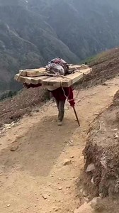 111K views · 2K reactions | It's Everest story ❤️❤️ Respect mountain heroes❤️ : Beauty of nature mountaineering #sagarmatha #porters #makalu #everestbasecamptrek #himalaya #himalayas #amadablam #annapurna #mounteverest #nepalplanettreks | Nepal Mountain Guide Team | Facebook