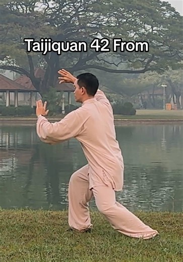 Tai Chi 42 Form (太极拳四十二式) \t1.\t起势 Qi Shi \t2.\t右揽雀尾 You Lan Que Wei \t3.\t左单鞭 Zuo Dan Bian \t4.\t提手 Ti Shou \t5.\t白鹤亮翅 Bai He Liang Chi \t6.\t搂膝拗步 Luo Xi Ao Bu \t7.\t撇身捶 Pie Shen Chui \t8.\t履挤势 Lu Ji Shi \t9.\t进步搬拦捶 Jin Bu Ban Lan Chui \t10.\t如封似闭 Ru Feng Si Bi \t11.\t开合手 Kai He Shou \t12.\t右单鞭 You Dan Bian \t13.\t肘底捶 Zhou Di Chui \t14.\t转身推掌 Zhuan Shen Tui Zhang \t15.\t玉女穿梭 Yu Nu Chuan Shuo \t16.\t右左蹬脚 You Zuo Deng Jiao \t17.\t掩手肱捶 Yan Shou Gong Chui \t18.\t野马分鬃 Ye Ma Fen Zong \t19.\t云手 Yun Sh