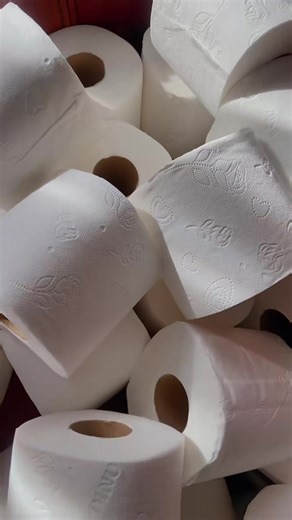 Small Business Ideas for Toilet Paper in South Africa