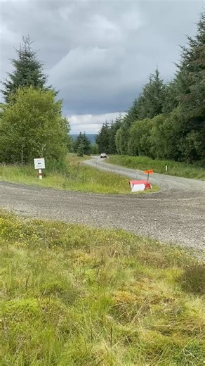 Graham Thatcher and Tim Samuel Triumph TR7 V8 sounding fantastic in the woods today on the Nicky Grist Stages West Wales Rally Spares | Historic Rally Car Register - HRCR