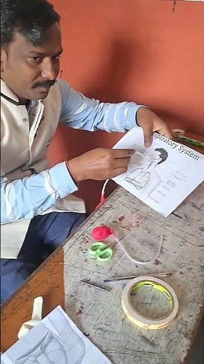 Working model of Respiratory System in Human | Lungs Working Model School Project