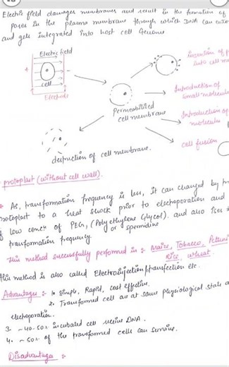 #Direct Method of Gene Transfer#Physical method of gene transfer#youtube shorts#you and biology||