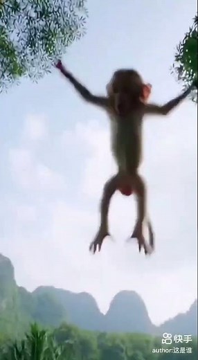 Heartbreaking Moment: Baby Monkey Falls From High Tree! 🐒😭 #WildlifeMoments #NatureIsHard