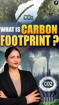 What is a Carbon Footprint? 🌍 | The Simple Guide to Environmental Impact