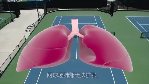 医学动画，带你认识人体各个脏器和系统