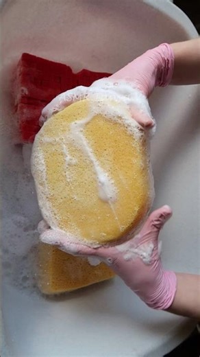 ASMR Satisfying Sponge Squeezing #asmr #satisfying #oddlysatisfying