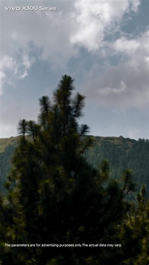 Find anything you like & circle to search with Google with vivo X300! #GoIntoTheWild | vivo