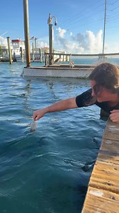 22K views · 416 reactions | Get ready for some high-flying fish...