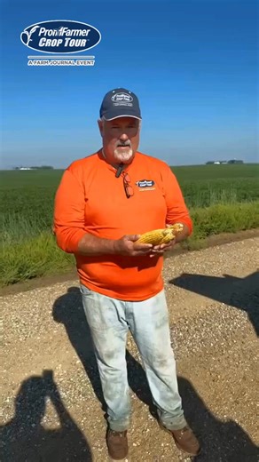 76K views · 217 reactions | Pro Farmer Crop Tour in Plymouth County Iowa, Chip Flory shares findings on varying stages of development on corn. #pftour25 | Farm Journal | Facebook