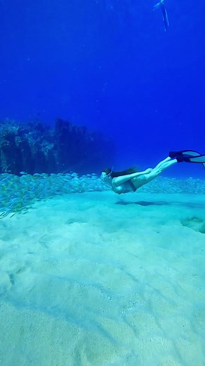 Exploring Underwater Beauty with Carolina Dives