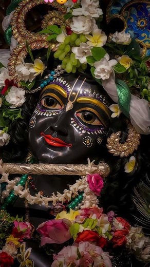 Radhe Radhe❤️🥰🙏#radhakrishn #krishn#krishnwold #viralreel #radharani #viral#dwarka #dwarkadhish