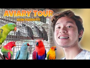 NEW PARROT + AVIARY TOUR!!!