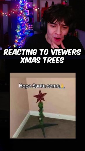 Creative Christmas Tree Ideas and Reactions