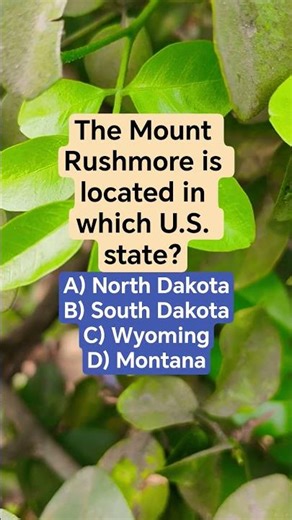 The Mount Rushmore is located in which U.S. state?