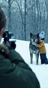 "I Raised My Rifle To Put Down The ‘Devil Dog’ No One Could Tame. Then A Six-Year-Old Girl Did The Unthinkable In The Middle Of A Blizzard. In the dog handling business, specifically out here in the high desert of West Texas, people think it’s the heat that kills you. But they forget about the winters. They forget about the biting cold that snaps bones and freezes the hope right out of your chest. There are two distinct types of aggression in dogs. There’s fear aggression—the kind where a dog sn