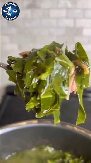 Super Amazing Vegetable Facts You Never Knew! 🥕🥦🍆 #vegetables
