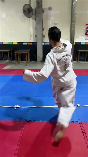 Basic Taekwondo Moves 🤩 #taekwondo #exercises