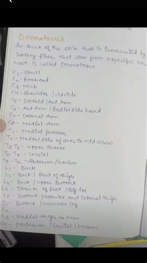 dermatomes and maytomes 🙌🏻 #orthopedics #neurology #notes #foryou #youtubeshorts