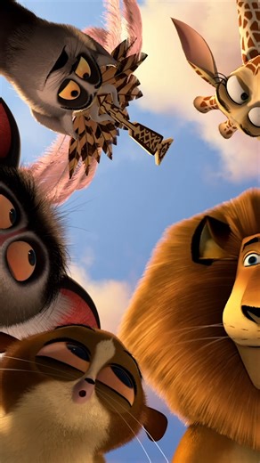 Celebrating 13 years in style 🙈 #Madagascar3EuropesMostWanted | Madagascar