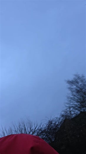 Deer part 2 #roaming #deer #park #fyp #trending