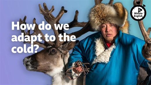 BBC Learning English - 6 Minute English / How do we adapt to the cold?
