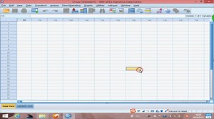 2变量与数据录入1[SPSS]