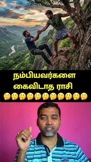 TikTok Creator Insights & Lover's Insights