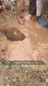 389K reactions · 9.3K shares | The Core Teachings of Buddhism https://fb.watch/qWGi5ZBRXm/ 1. Avoid all evil 2. Do only goodness 3. Purify our mind through the Buddha’s middle way meditation to terminate the whole mental defilement | InnerDhamma | Facebook