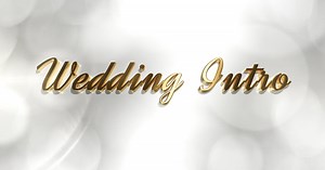 Wedding Intro