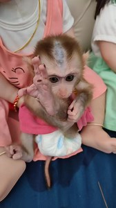 Sister so pretty baby 💖😘😘💘💘 | Monkey