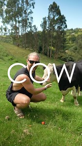 4.2K views · 19 reactions |  WIN BAY DREAMS TICKETS  All you have to do is tag 2 mates with the word North or South and we will pick 2 winners and bring you with us! It’s that simple. Get tagging and we will pick the first winners at midday tomorrow (3rd Jan) See you at @baydreams_nz Happy New Year | SIGMA | Facebook