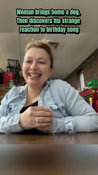 GeoBeats Animals (@geobeatsanimals03.55)’s videos with original sound - GeoBeats Animals