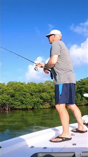 Expensive Bait: The Truth About Pin Fish Traps! #shorts