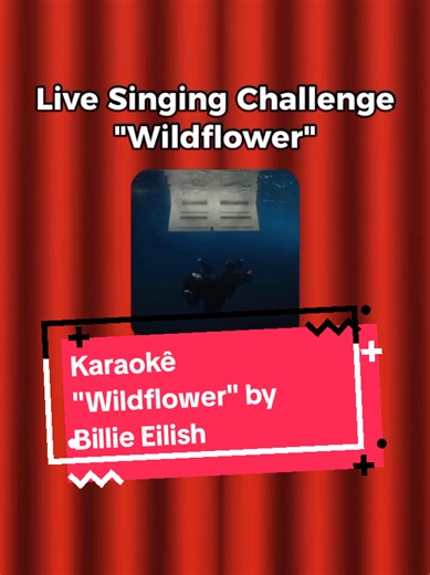 Practice singing along on stage to Billie Eilish's
