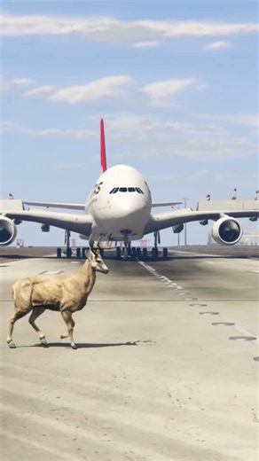 Crazy Dewe Accidentally Comes Runway During Airbus Landing | Gta-5