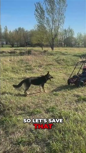Go-Kart Fun: Bravery, Jumps, and Trail Riding Tips! #shorts