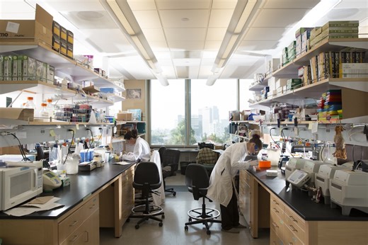 Undergraduate Research Week showcases student innovation and creativity - UCLA Undergraduate Education