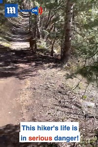 This hiker is being stalked by a wild COUGAR! 😱via ViralHog | Daily Mail Video