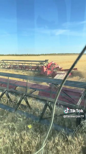 More duplex swather#agriculture #saskatchewan #macdon