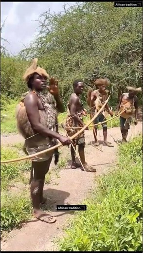 Lioness Ambush: The Buffalo Pursuit & Tribal Arco e Flecha Precision 🏹🦁