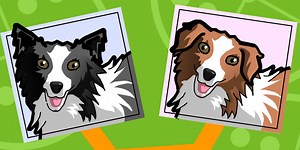 3: DNA & Cell Division