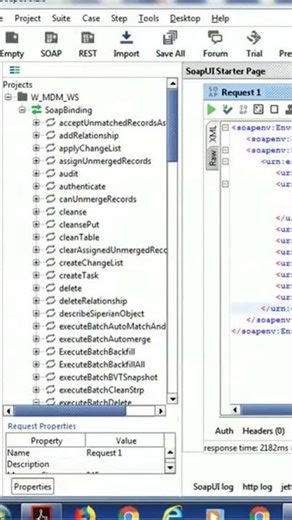 Deleting Record using SIF API in Informatica MDM #cloudmdm #informaticamdm #masterdatamanagement