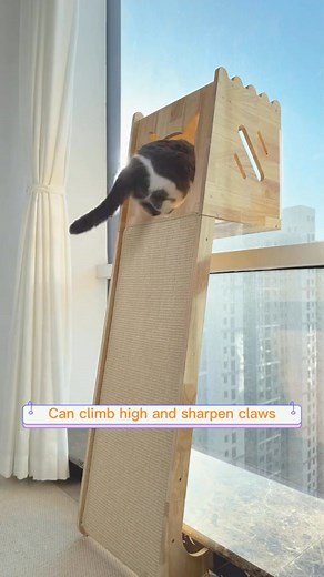 🐱 Versatile Indoor Cat Tree: All-in-One Feline Haven! ✅ 4-in-1 design: Scratcher Tree Window Perch House ✅ Sloped scratching board for fun climbing (better than wall-mounted!) ✅ Hidden litter box storage 2 bell balls 42cm top observation deck ✅ Rubberwood build (supports adult weight!) non-slip silicone pads 👉 Your cat climbs, plays, rests—you save space & keep home tidy! | Adrienne Alvarez