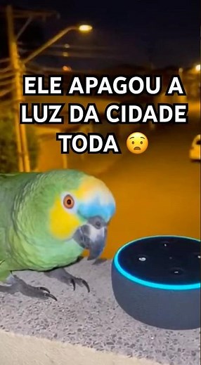 ALEXA, TURN OFF ALL THE LIGHTS IN THE CITY 🏙️⚡ (look what happened!)